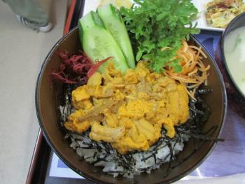 うに丼 うに丼