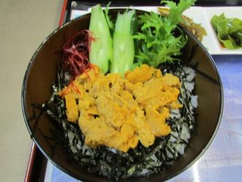 ウニ丼