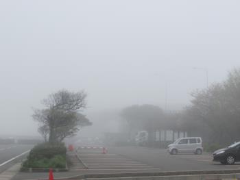 霧 霧