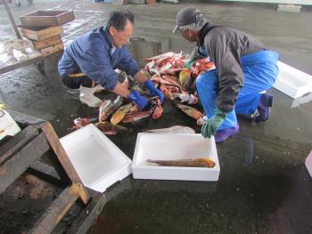 魚 魚