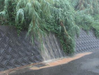 雨水 雨水