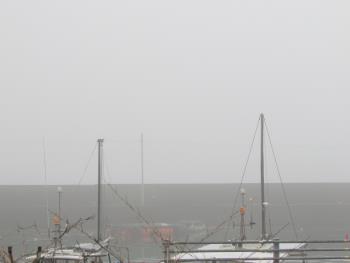 霧 霧