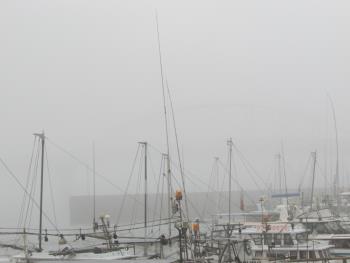 霧 霧