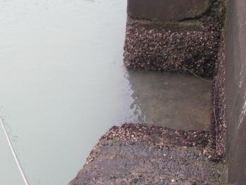 海 海