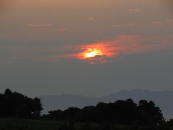 夕日 夕日