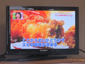 車エビ 車エビ