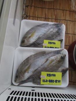 一先 一先