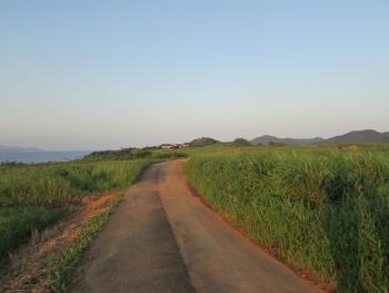 島 島