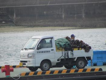 クロメ クロメ