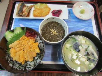 うに丼 うに丼