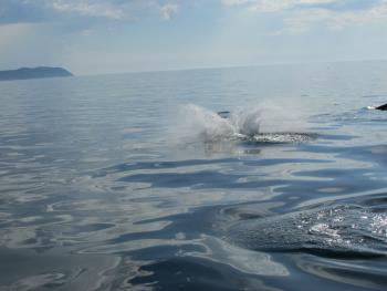 ジャンプ ジャンプ