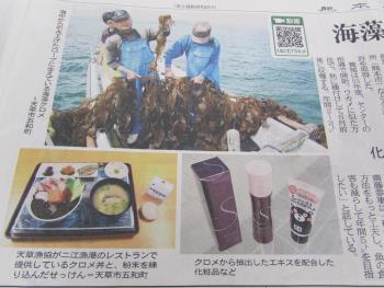 新聞 新聞