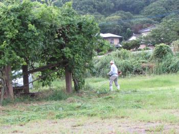 掃除 掃除