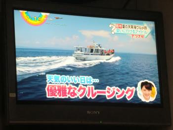 テレビ テレビ