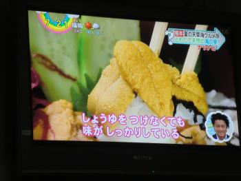 テレビ テレビ