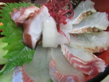 海鮮丼 海鮮丼