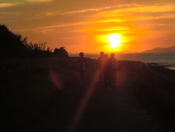夕日 夕日