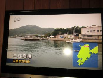テレビ テレビ