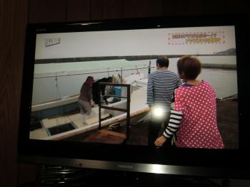 テレビ テレビ