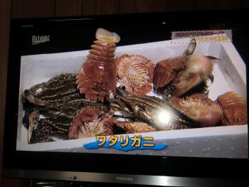テレビ テレビ