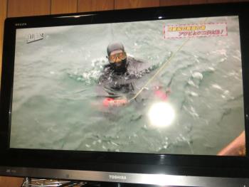 テレビ テレビ