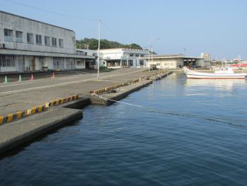 岸壁 岸壁