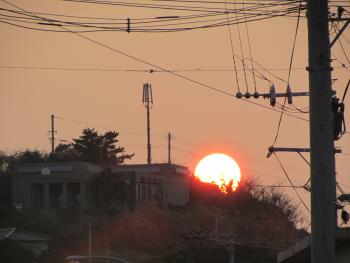 夕日 夕日