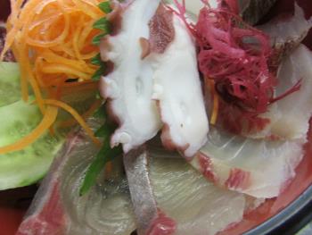 海鮮丼 海鮮丼