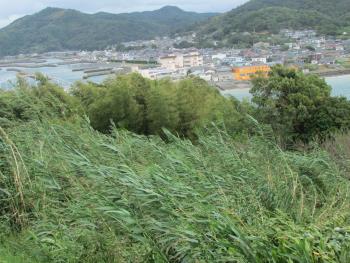 風 風