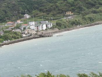 海 海