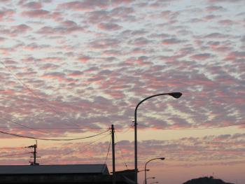 夕日 夕日