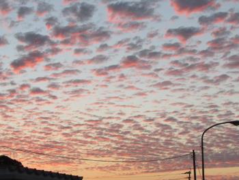 夕日 夕日