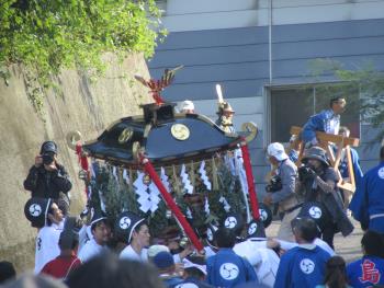 祭り 祭り