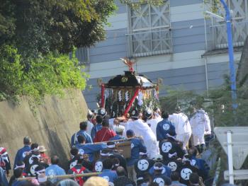 祭り 祭り