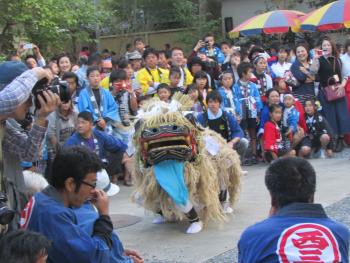獅子舞 獅子舞
