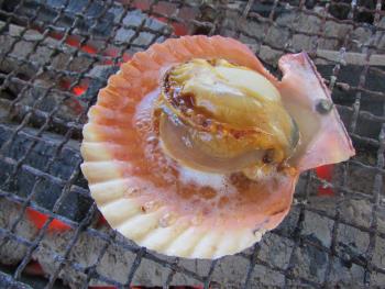 海鮮焼 海鮮焼