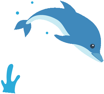 イルカウォッチング イルカウォッチング