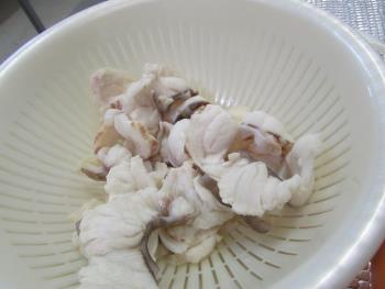 サメ サメ