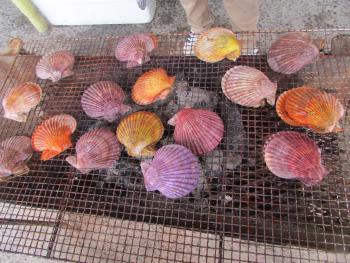 海鮮焼 海鮮焼