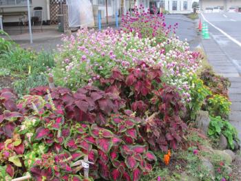 花壇 花壇