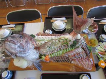 刺身 刺身