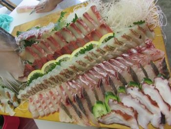 刺身 刺身