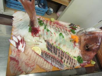 刺身 刺身