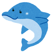 イルカウォッチング イルカウォッチング