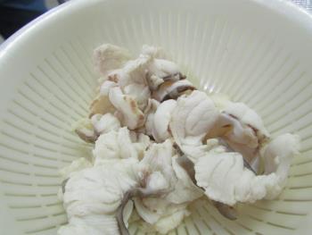 モタマ モタマ