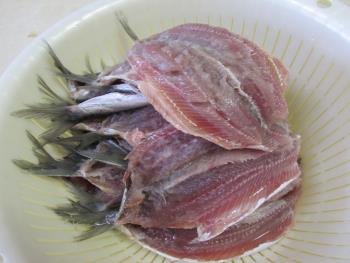 イワシ イワシ