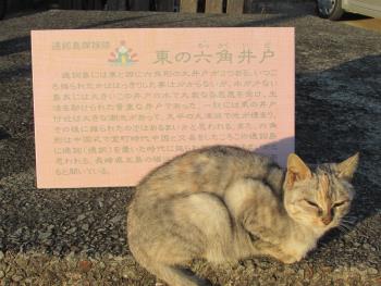 観音様 観音様
