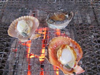 海鮮焼 海鮮焼