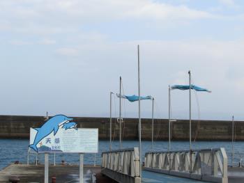 桟橋 桟橋