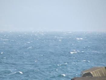 海 海